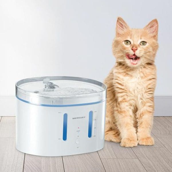 A cat sitting next to the Merkury Innovations Smart Wi-Fi Pet Fountain.
