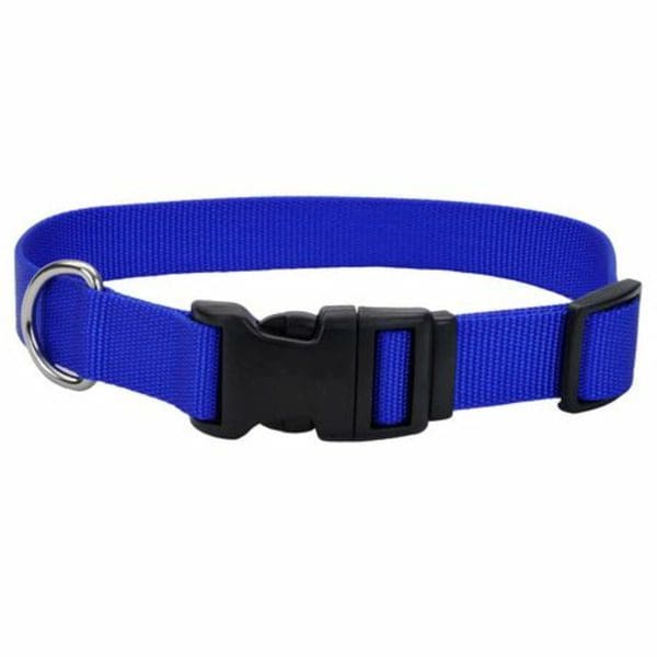 A Pet Attire by Coastal 1" x 18"-26" Adjustable Dog Collar With Plastic Buckle - Blue with a black buckle.