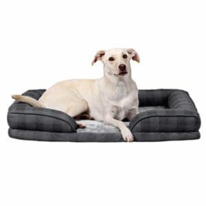 A black and gray dog laying on a Pet Spaces Sofa Style Dog Bed.