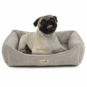 A pug sitting in a TrustyPup Lounge Around Pet Bed.